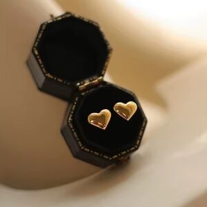 18 KT Gold Over Titanium Heart earrings